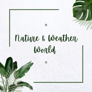 Nature and Weather World Apps