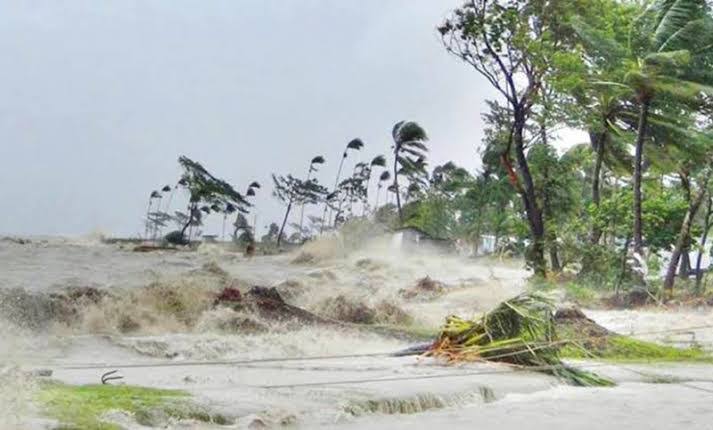 ঘূর্ণিঝড় রেমালের তাণ্ডব রক্ষায় ঢাল বিশ্বের সর্ববৃহৎ ম্যানগ্রোভ বন সুন্দরবন !!!